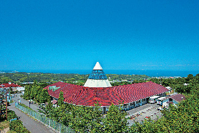 香りの文化を体験できるテーマパーク「パルシェ香りの館」