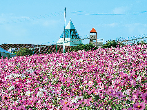 香りの文化を体験できるテーマパーク「パルシェ香りの館」
