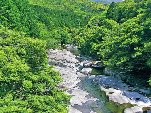 【対馬観光×立ち寄りスポット】水と緑に恵まれた広大な公園「鮎もどし自然公園」