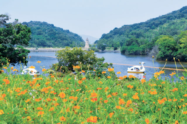 淡路ファームランドイングランドの丘で行くべきスポット 花畑