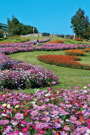 海風吹き抜ける広大なフラワーパーク「淡路島国営明石海峡公園」