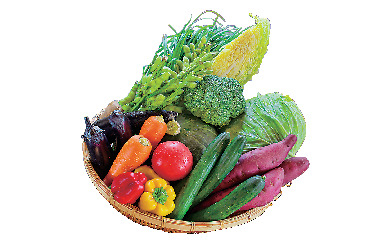 【淡路島×島野菜ごはん】自然にも体にもやさしい食事「ロハスカフェ」