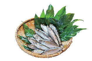 【淡路島×島野菜ごはん】自然にも体にもやさしい食事「ロハスカフェ」