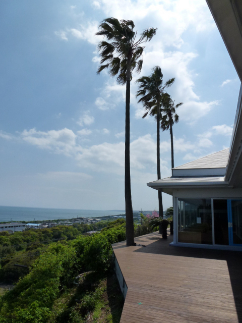 【延岡&日向のご当地グルメ】いけすレストラン 大漁丸