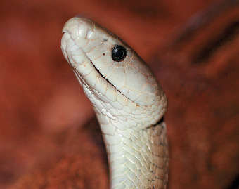 こんなにNo.1がいるよ〜!