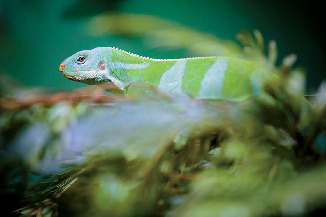 こんなにNo.1がいるよ〜!