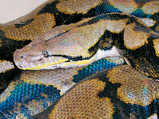 こんなにNo.1がいるよ〜!