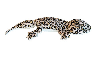 おみやげでびっくり!