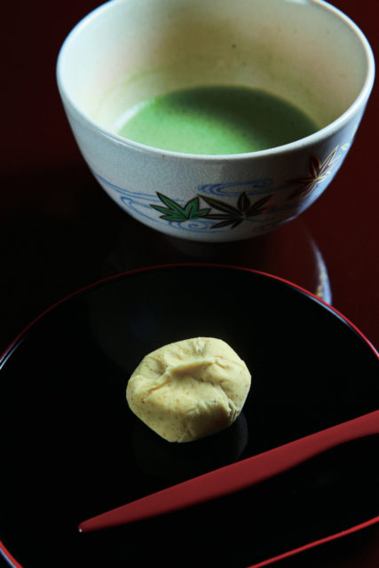 【強羅×観光】箱根美術館