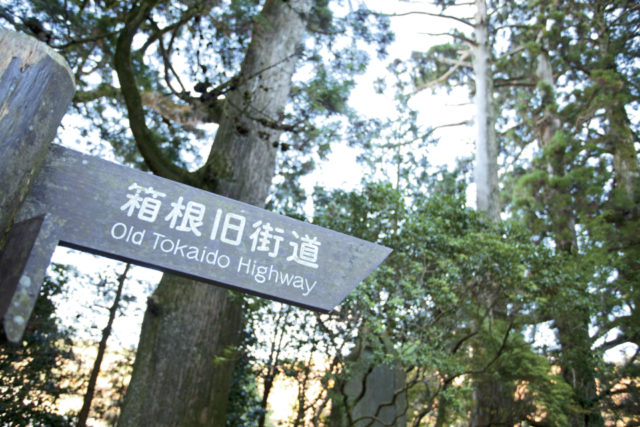 【芦ノ湖×観光】旧街道杉並木