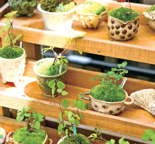 【宮ノ下駅周辺のおすすめスポット】NARAYA CAFE(マップA)