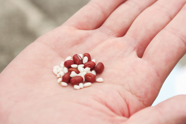 毎月13日の“月次祭”で恋のパワーUP