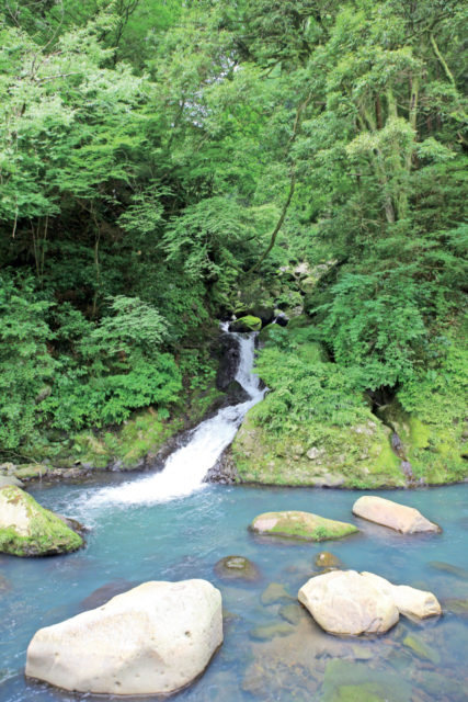 【箱根・宮ノ下&小涌谷観光×堂ヶ島渓谷遊歩道コース1】清々しい滝や渓谷沿いをずっと歩くよ♪「無名の滝」