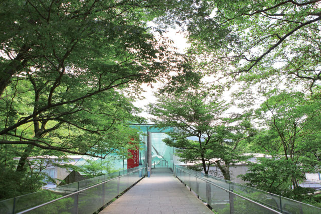 【仙石原観光×美術館】ポーラ美術館