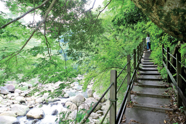 【箱根・宮ノ下&小涌谷×観光】堂ヶ島渓谷遊歩道コース