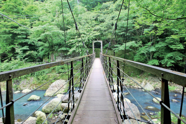 【箱根・宮ノ下&小涌谷観光×堂ヶ島渓谷遊歩道コース2】最後に登場! ひやひや体験!「吊橋」
