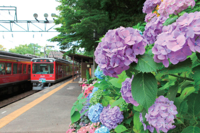 【箱根登山電車・途中駅】宮ノ下
