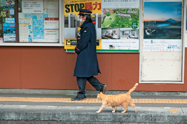 【箱根登山電車×みどころ】スイッチバックのワンシーンを目撃