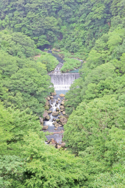 【箱根・宮ノ下&小涌谷観光×堂ヶ島渓谷遊歩道コース3】記念撮影にぴったり!「箱根自然薯の森山薬」
