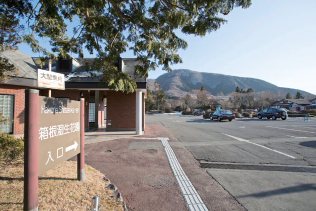 【仙石原×観光】車を止めてめぐるなら「箱根湿生花園駐車場」が便利