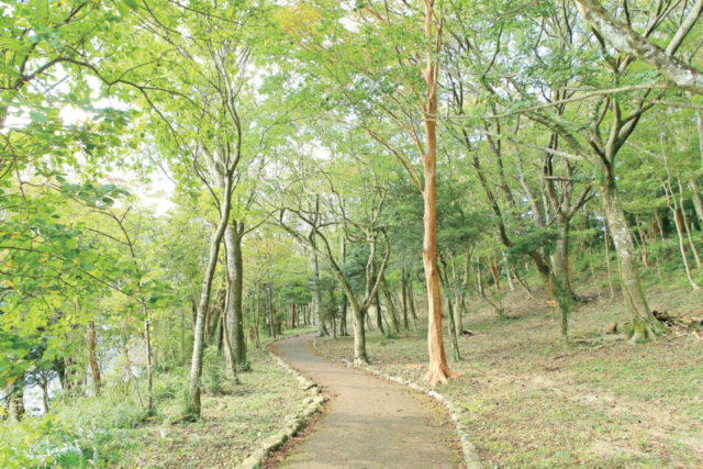 九頭龍神社本宮
