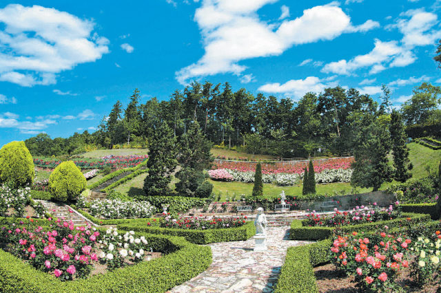 フェアリーガーデン