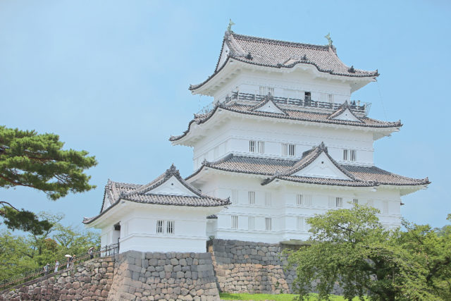 小田原城址公園