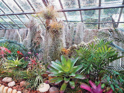 熱川バナナワニ園の珍しい風景!