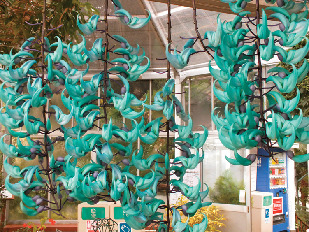 熱川バナナワニ園の珍しい風景!