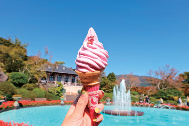 【1泊2日の箱根観光モデルコース】箱根強羅公園