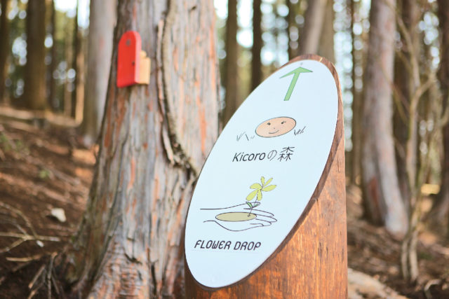 Kicoroの森