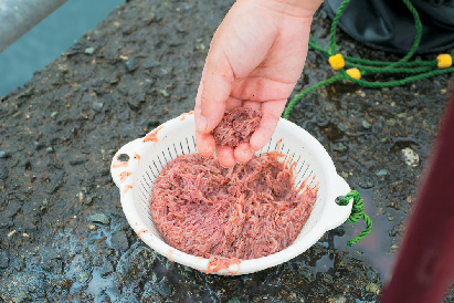 熱海港海釣り施設