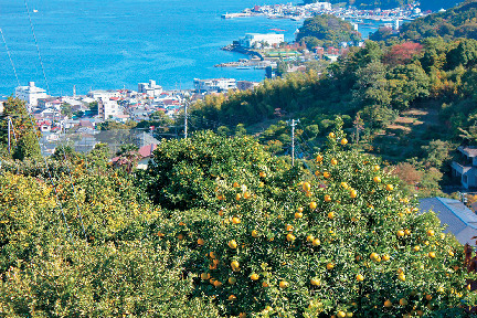 多賀の観光おすすめスポット