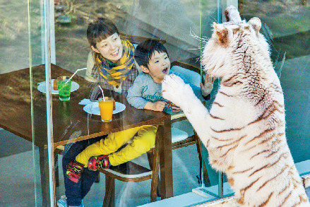 伊豆アニマルキングダムのレストラン情報