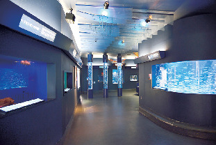 伊豆の海の生物館うみめぐり