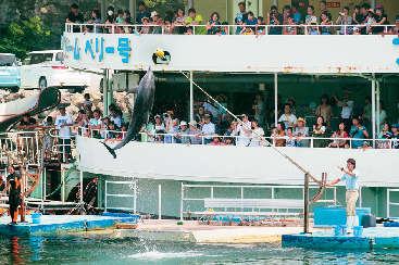 マリンスタジアム