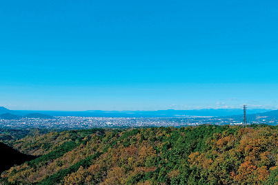 三島スカイウォークではこんな景色がお待ちかね