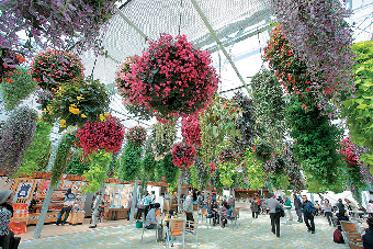 おなかがすいたらこちらへ