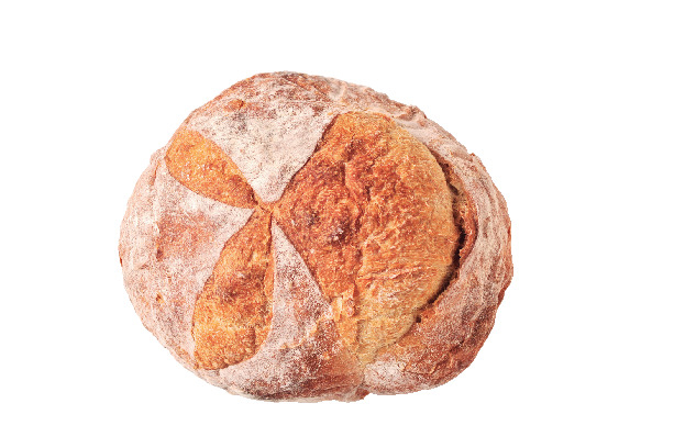 ブレッド&サーカス