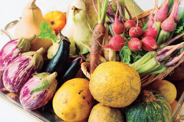 【箱根×ぜいたくランチ】素材の味を引き出した目と舌で楽しむ全4皿「オーベルジュ オー・ミラドー」