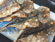 【伊豆の日帰り温泉②】立ち寄り天然温泉湯の国会館