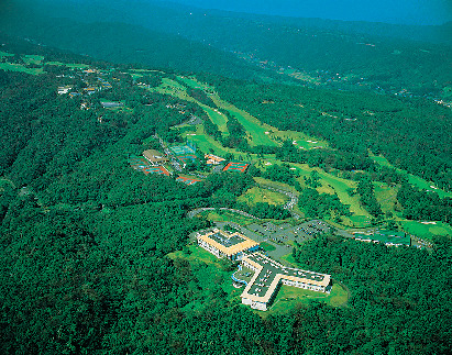 こんな過ごし方がおすすめ