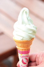 南伊豆アロエセンター