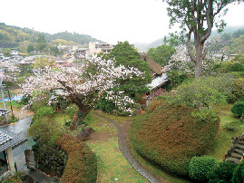 愛犬と楽しむ温泉旅館 修善寺 絆
