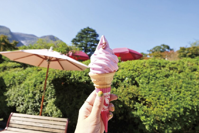 箱根強羅公園のグルメスポット「一色堂茶廊」