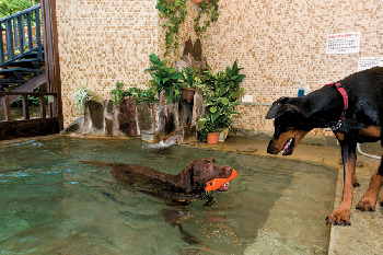 ホテル 四季の蔵