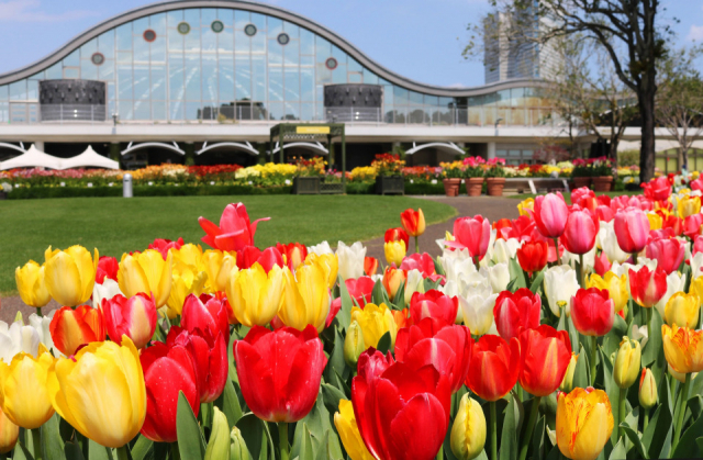 【宮崎タウン×観光】フローランテ宮崎