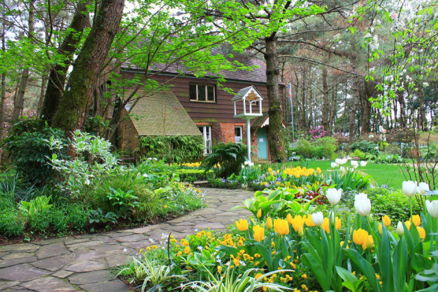 【宮崎・一ツ葉×観光】イギリス風に優雅なティータイム「英国式庭園」