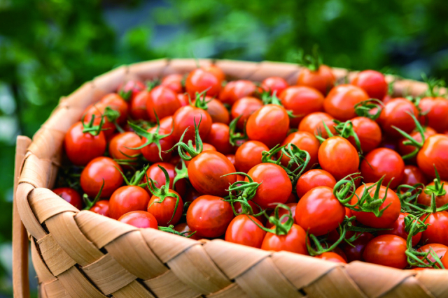 農園併設のカフェ&マルシェで フルーツ三昧「グランパークせとうち」