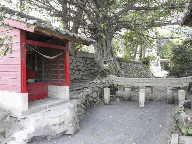 桜島ドライブ観光スポット⑤ 黒神埋没鳥居
